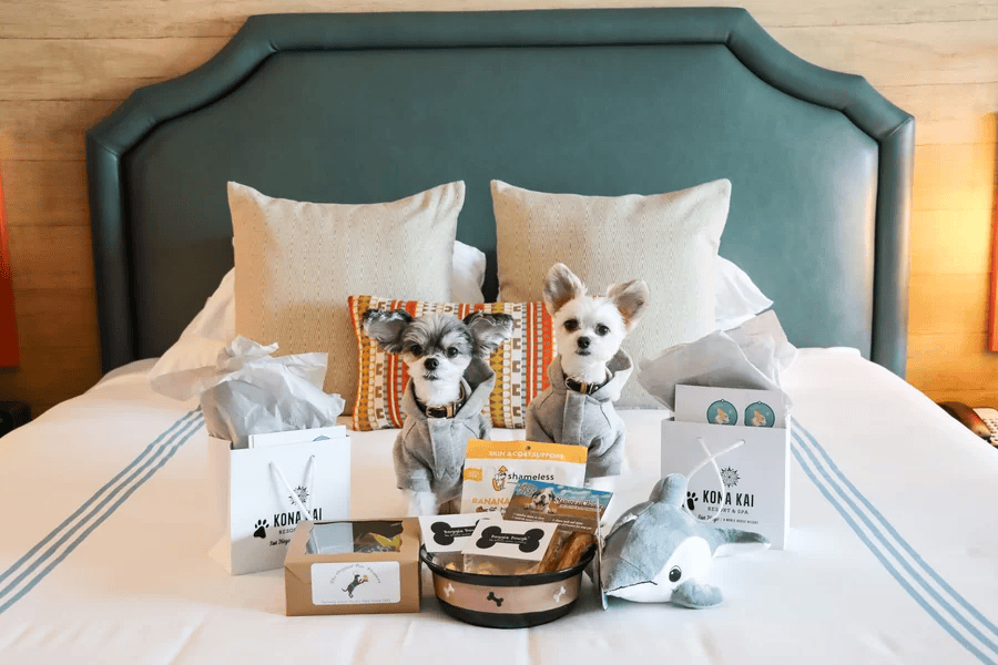 Pet-Friendly Hotels 