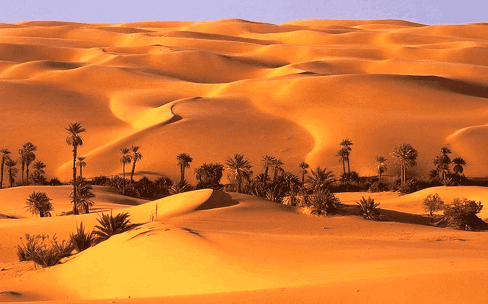 UAE Oases