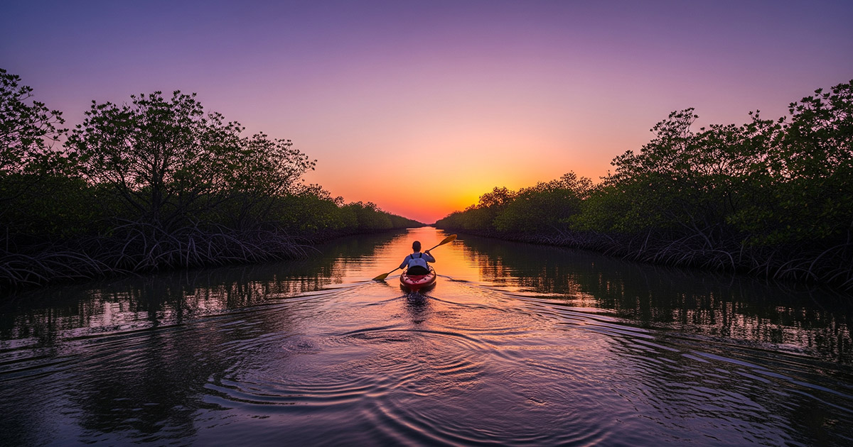 kayaking in mangroves
