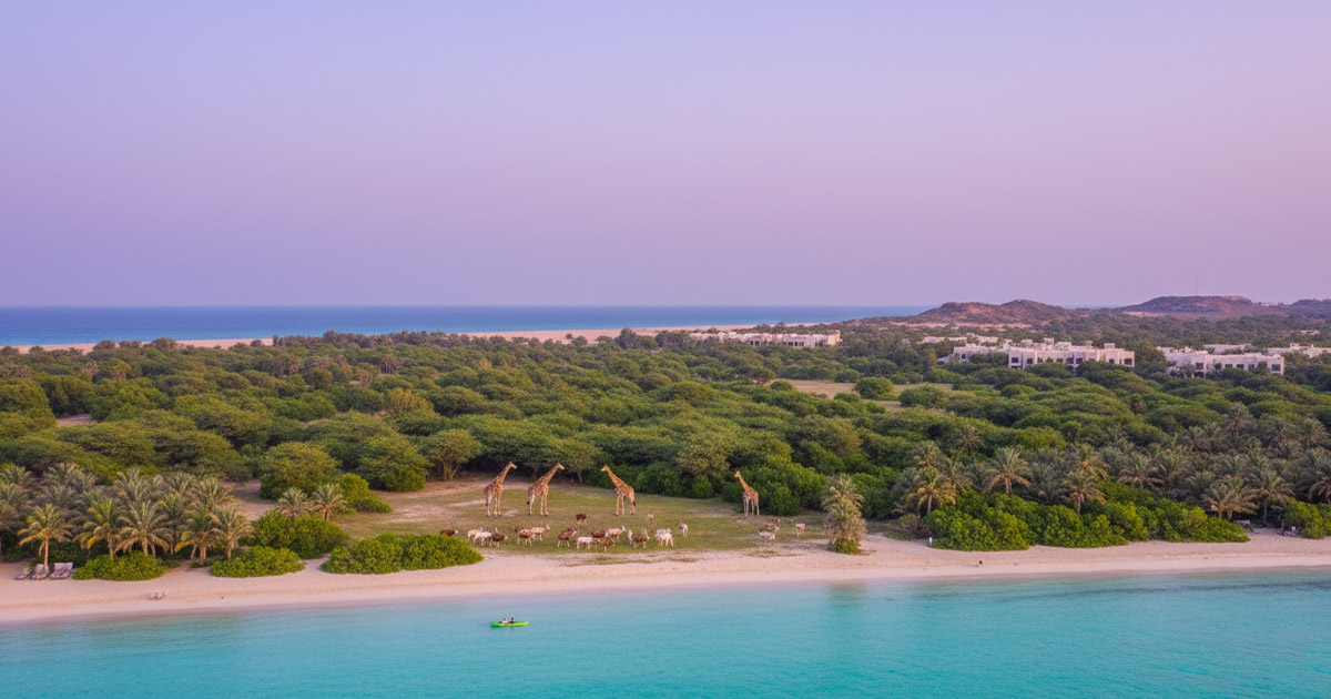 Sir Bani Yas Island Abu Dhabi